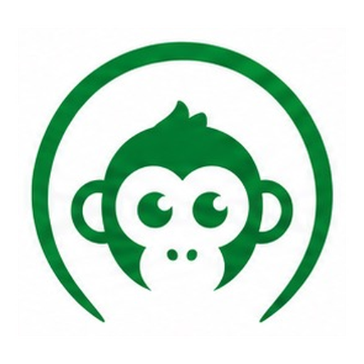 RunIdea